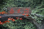 亚木沟景区