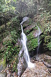 山间流动的水