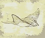 海洋系手绘图案之鱼
