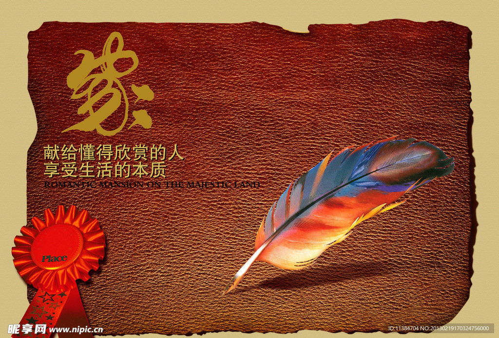 彩色羽毛