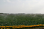 农业节水