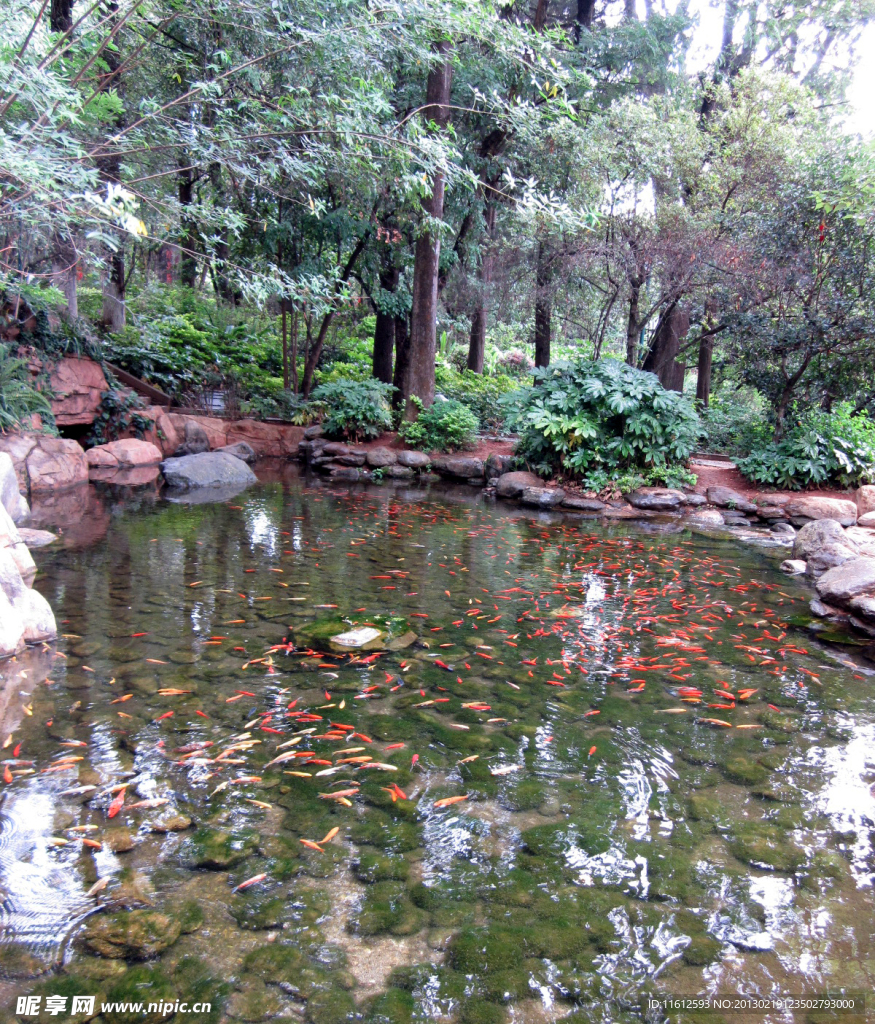 小河流水