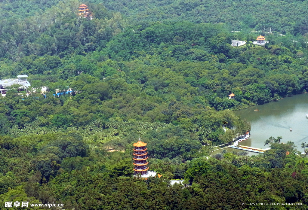 仙湖植物园