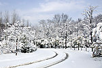雪景