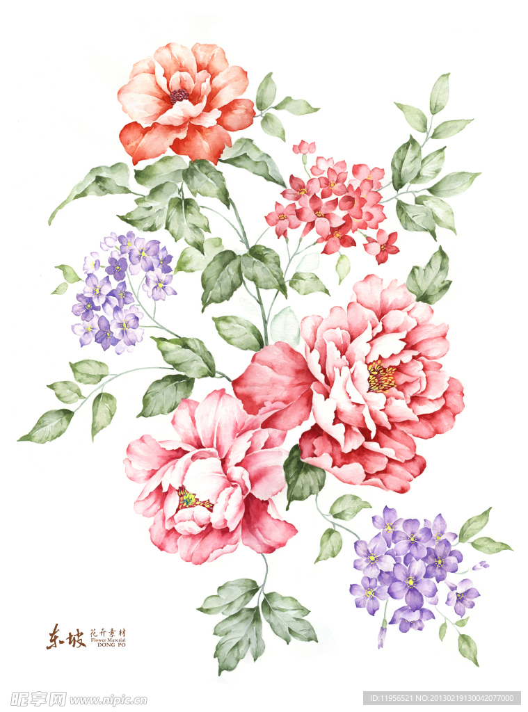手绘花卉