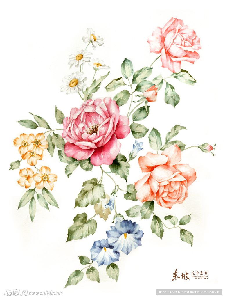 手绘花卉