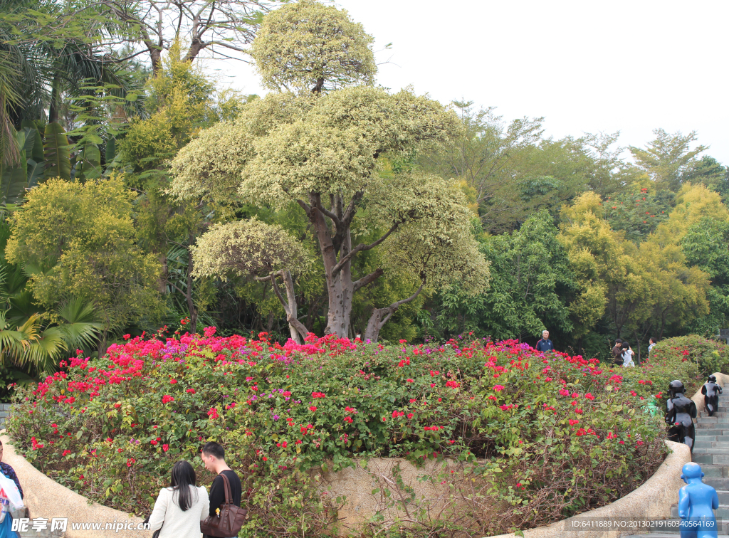 花园花坛