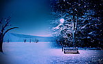 冰天雪地松叶