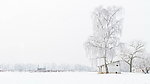 雪景