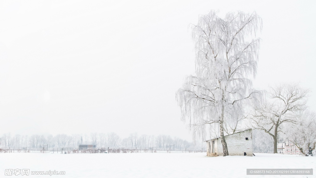 雪景