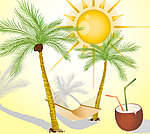 夏日风情
