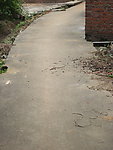 路面