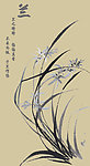 兰花