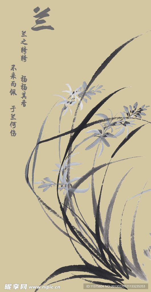 兰花