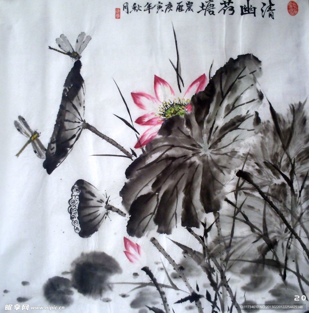 清幽荷塘