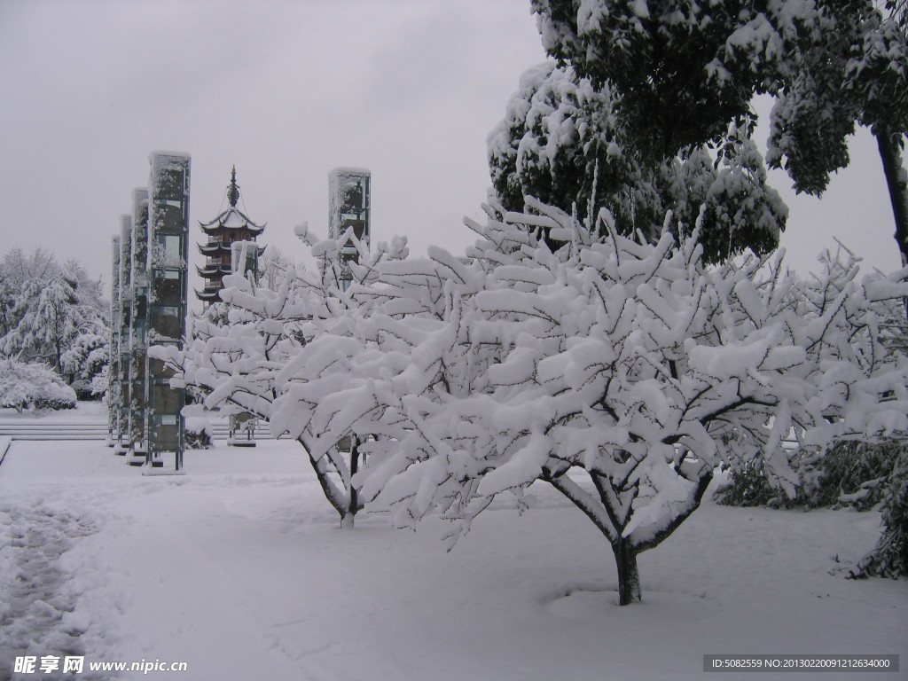 常州红梅公园雪景