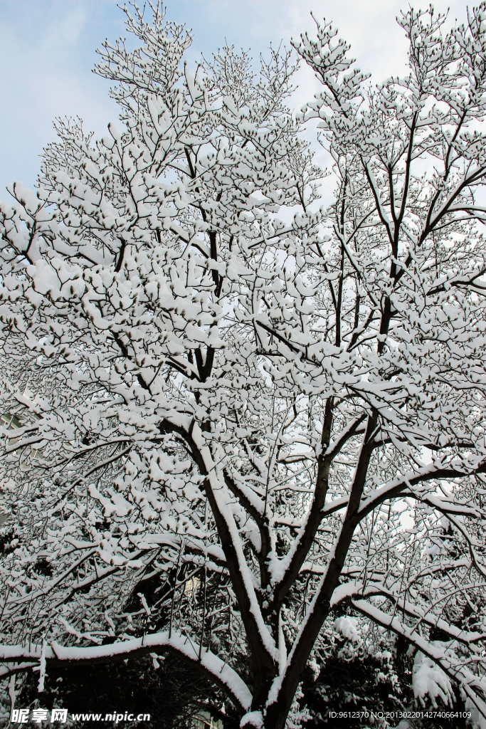 雪景
