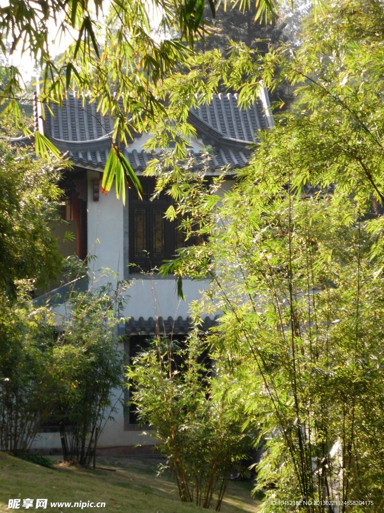 公园风景