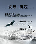 发展历程
