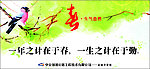 中交国通 春天展板