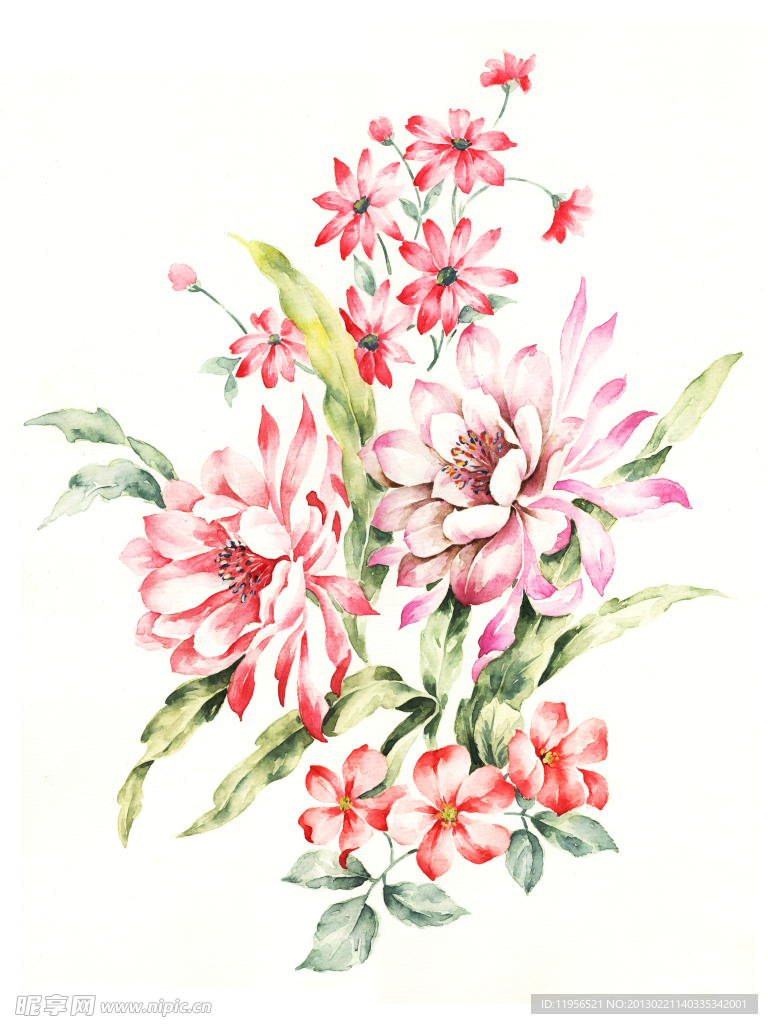 手绘花卉