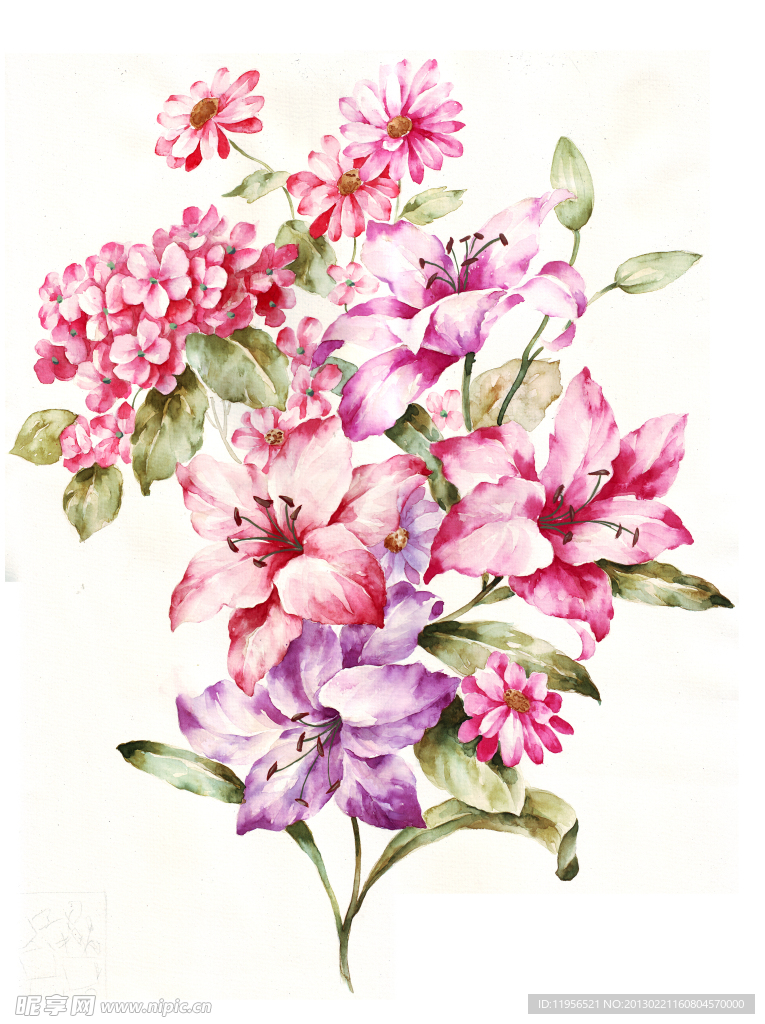 手绘花卉