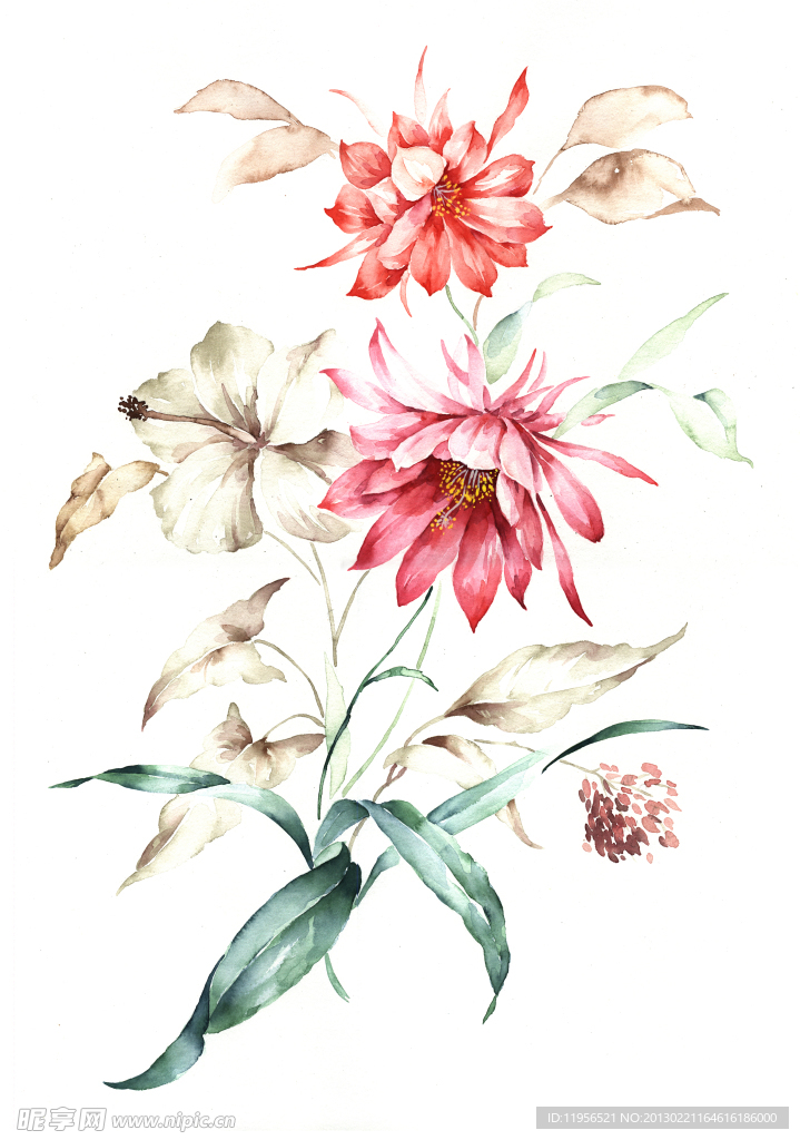 手绘花卉