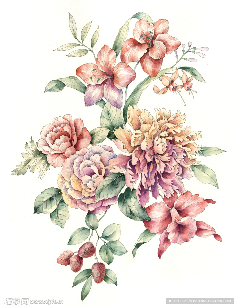 手绘花卉