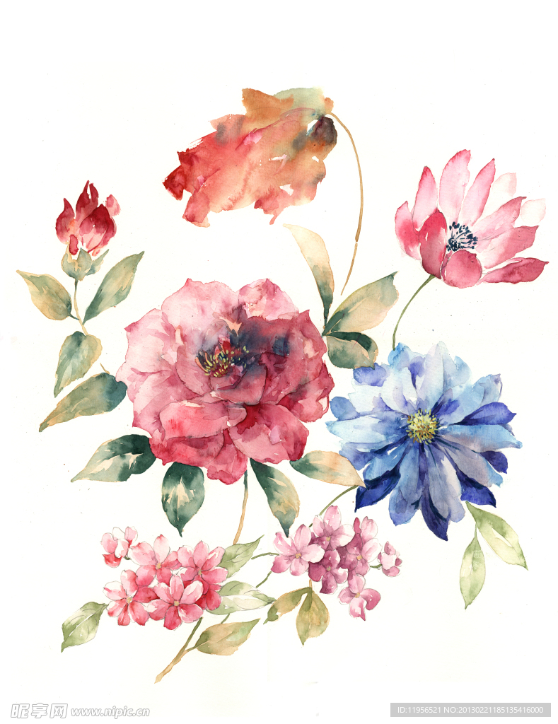 手绘花卉
