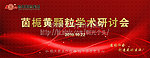 研讨会 舞台设计