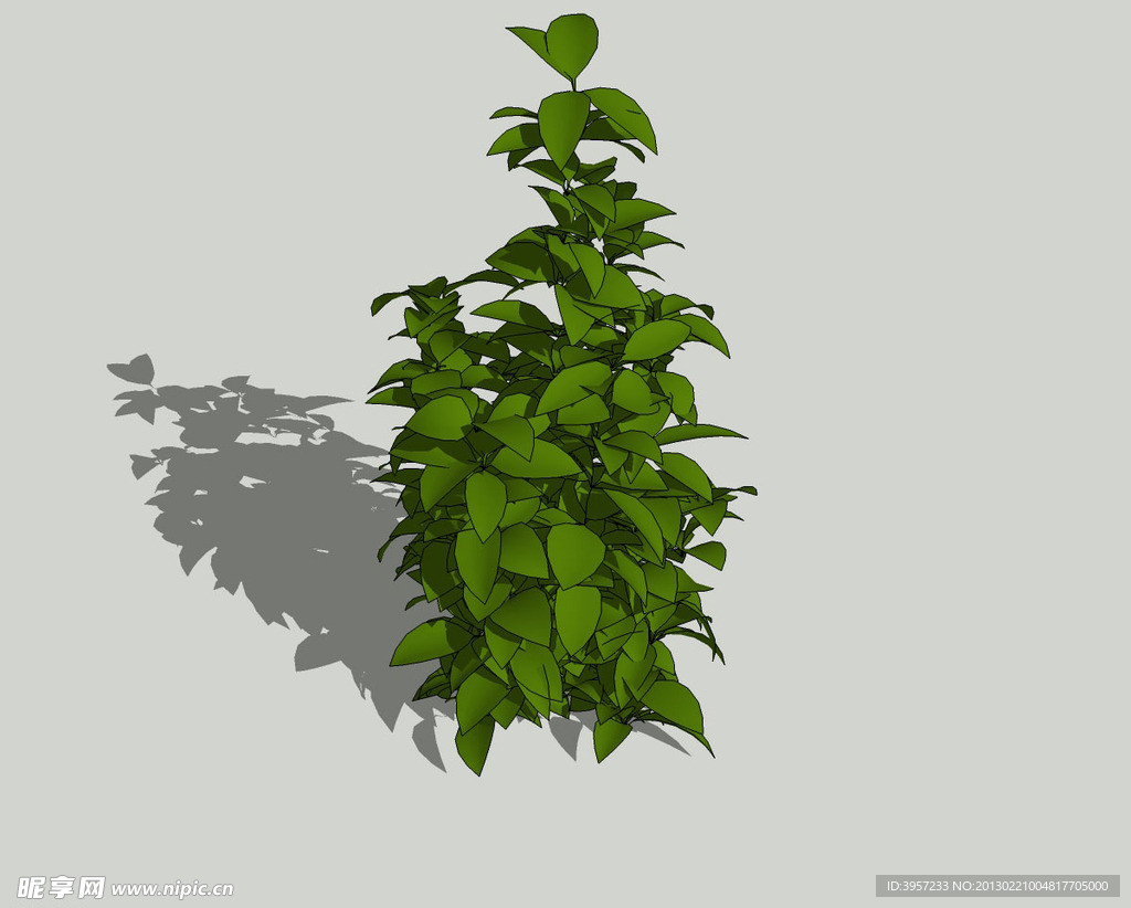 植物3D模型