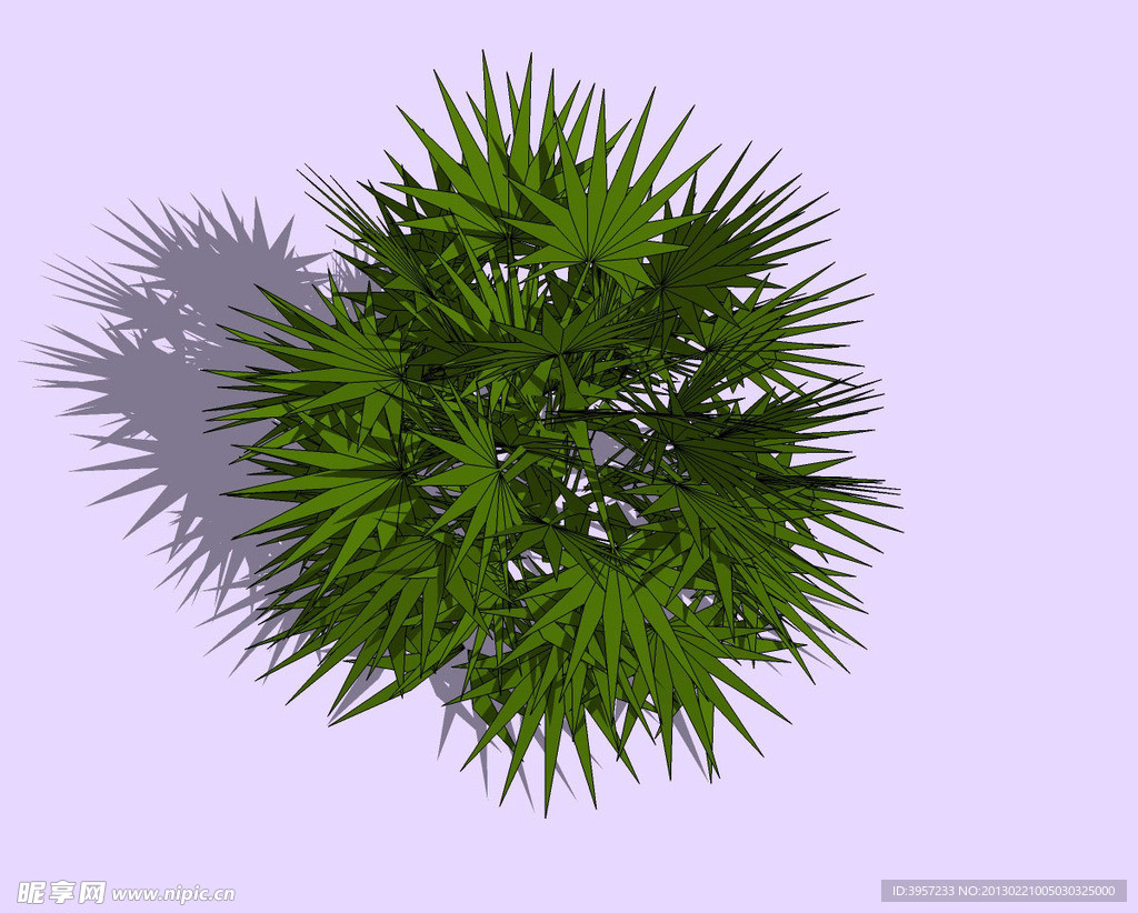植物3D模型