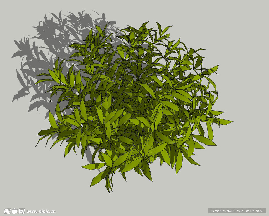 植物3D模型