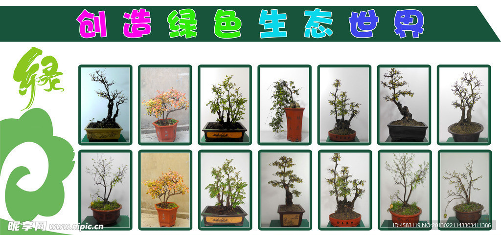 盆景展板