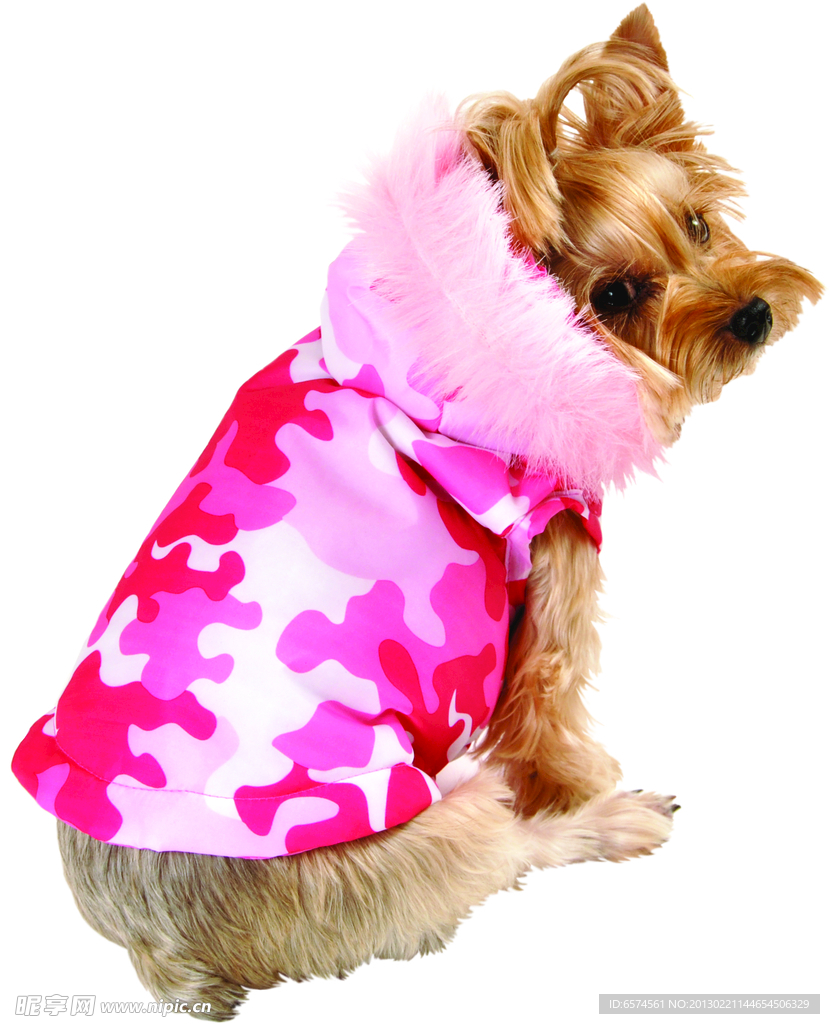 粉红色拼图带羽毛帽子夹克的小狗