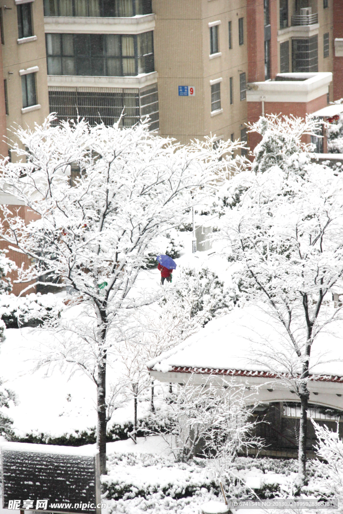 2013年雪景