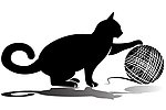 小猫