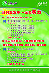 人民保险展板
