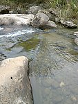 白水寨