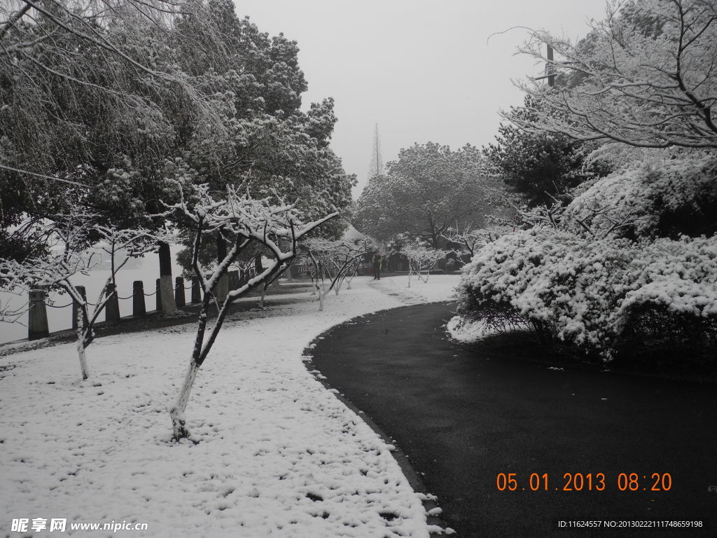 雪景