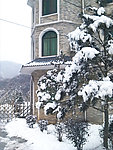 雪景