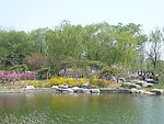 春和景明