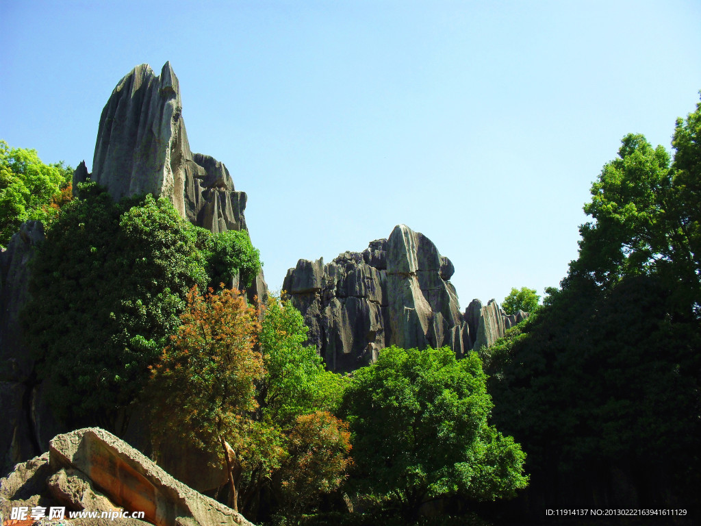 石林风景