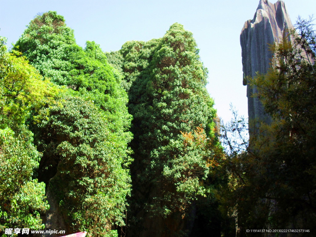 石林风景