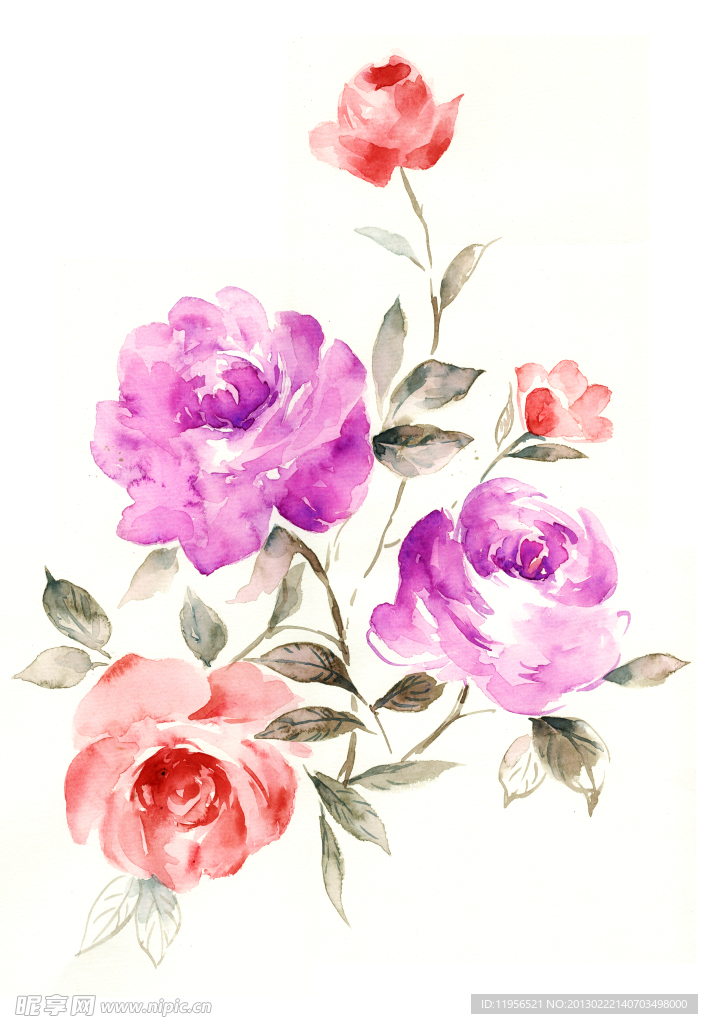 手绘花卉