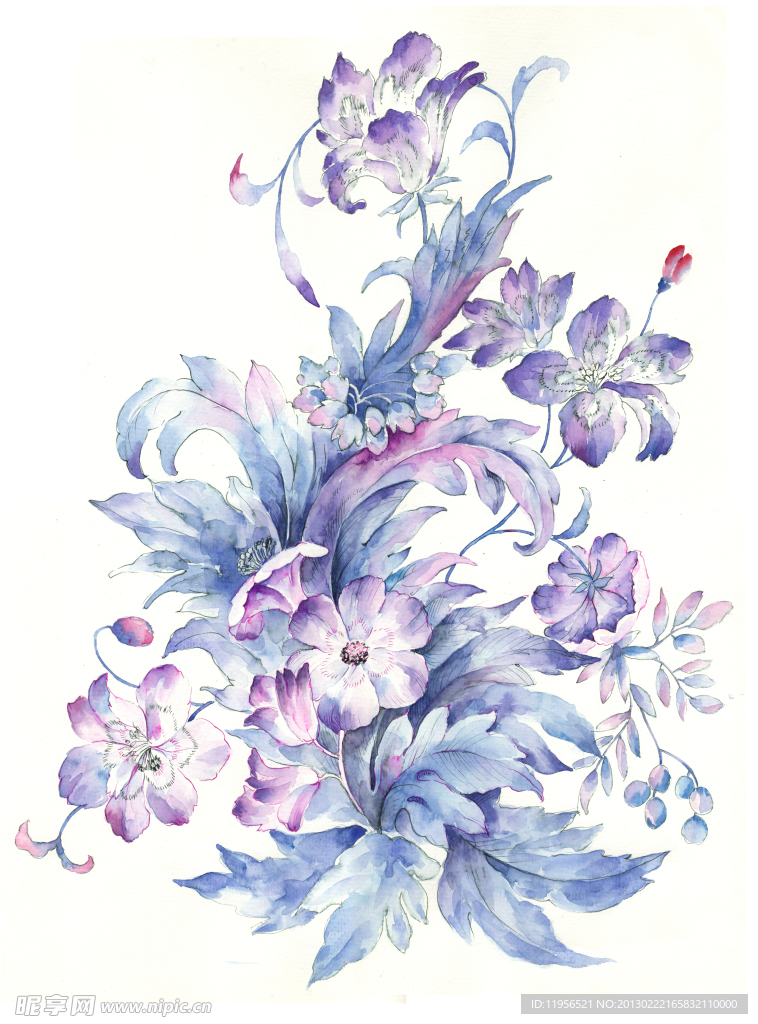 手绘花卉