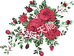 玫瑰花