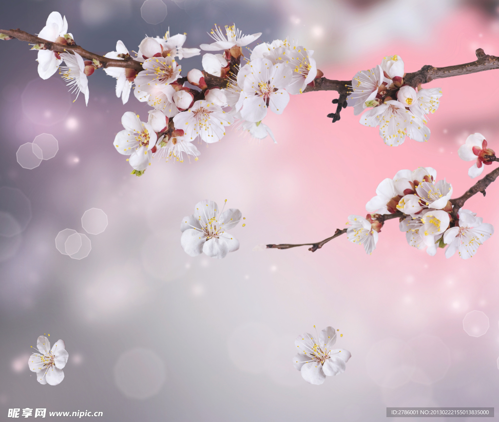 桃花