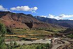 田园风景