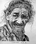 郑涛 钢笔画